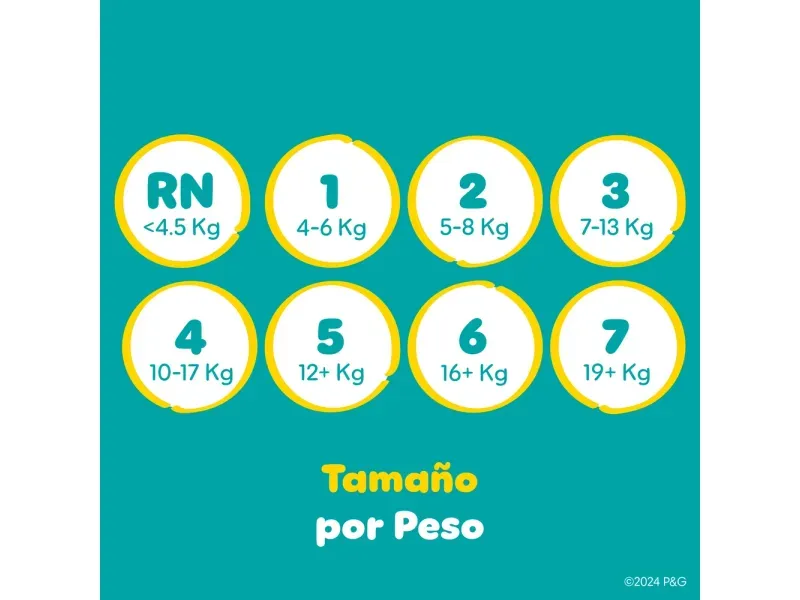 000000000075334819-UN-06