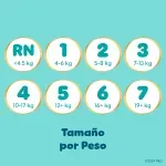 000000000075228627-UN-06