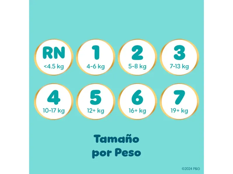 000000000075228627-UN-06