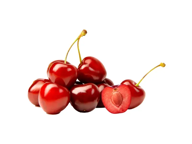 000000000075438305-KG-01