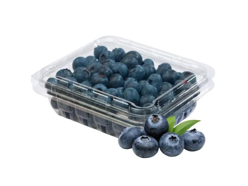 000000000075434873-UN-01