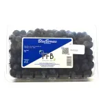 000000000075434872-UN-02