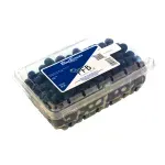 000000000075434872-UN-04