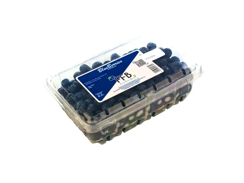 000000000075434872-UN-04