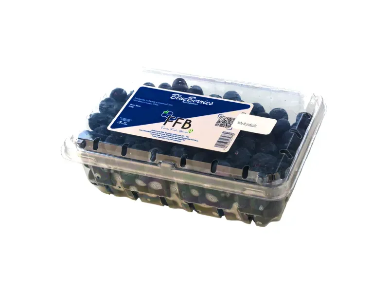 000000000075434872-UN-05