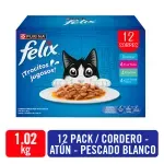 000000000075354158-UN-01