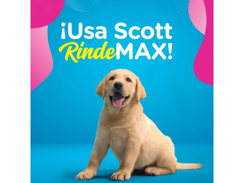 GTIN-7441008168348-1