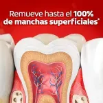 000000000075234797-UN-07