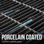 000000000070309434-UN-09