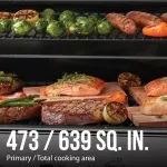 000000000070309434-UN-10