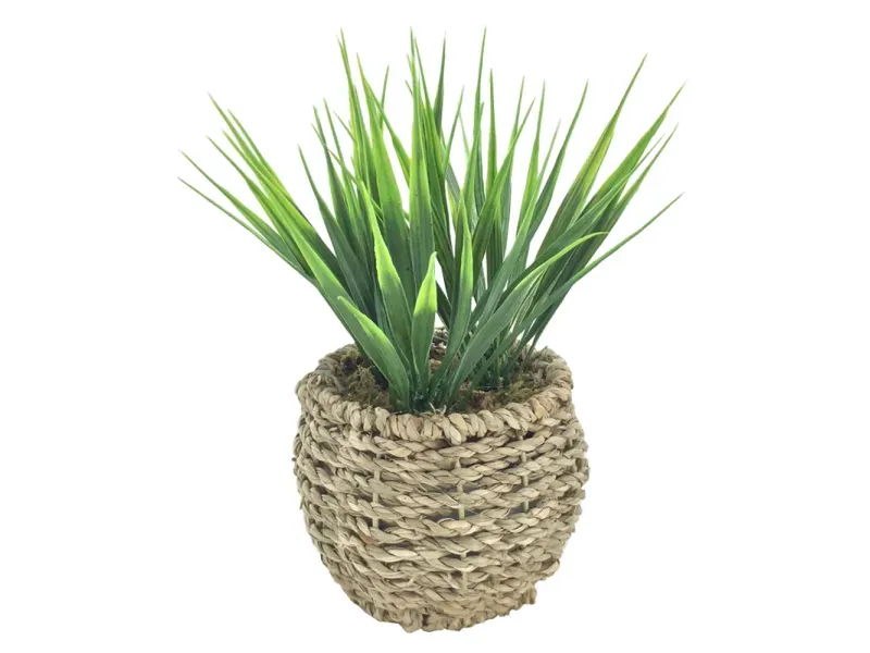 000000000075251702-UN-01