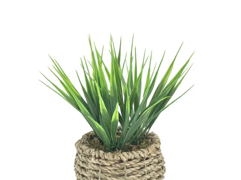 000000000075251702-UN-02