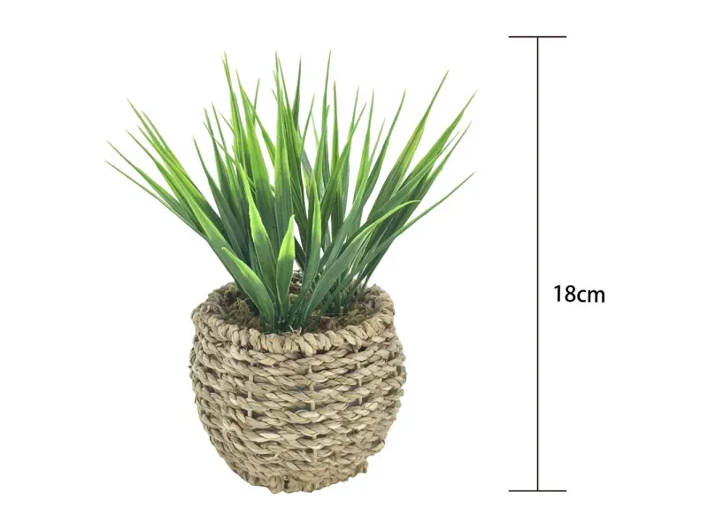 000000000075251702-UN-03