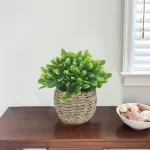 000000000075251703-UN-04