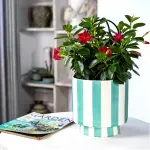 000000000075400840-UN-06