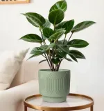 000000000075400845-UN-06