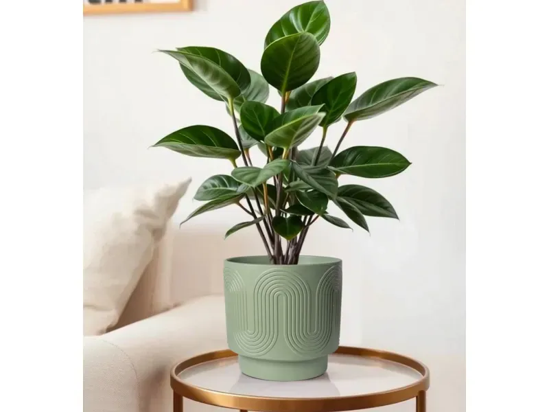 000000000075400845-UN-06