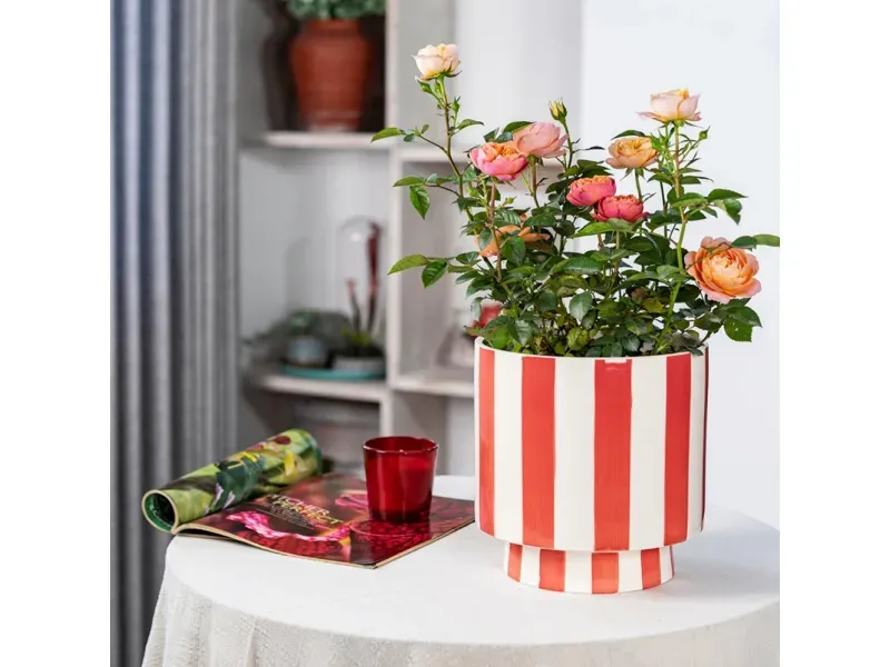 000000000075400843-UN-06