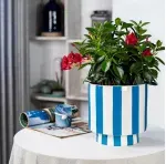 000000000075400842-UN-06