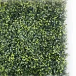 000000000075401904-UN-02