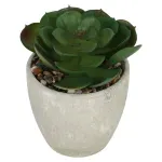 000000000075385846-UN-03