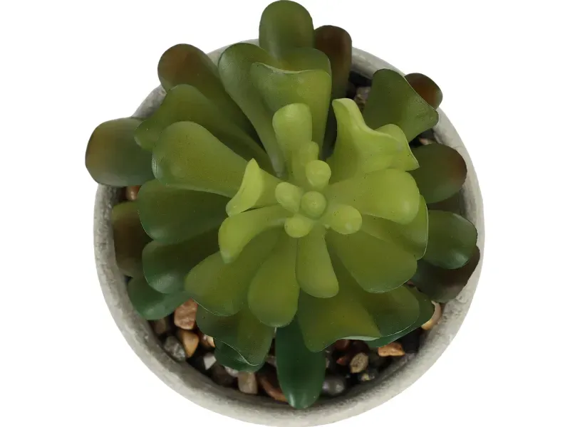 000000000075385846-UN-05