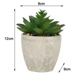 000000000075385846-UN-09