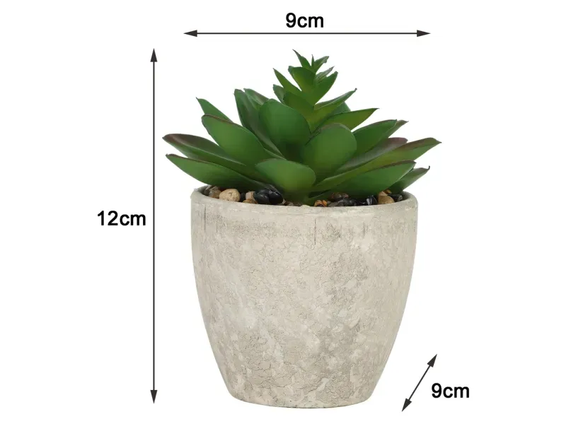 000000000075385846-UN-09