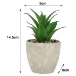 000000000075385846-UN-11