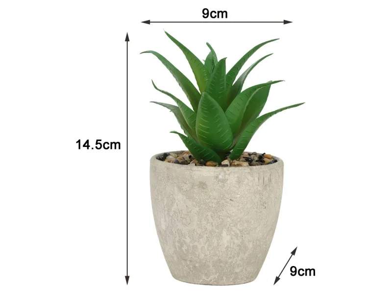 000000000075385846-UN-11