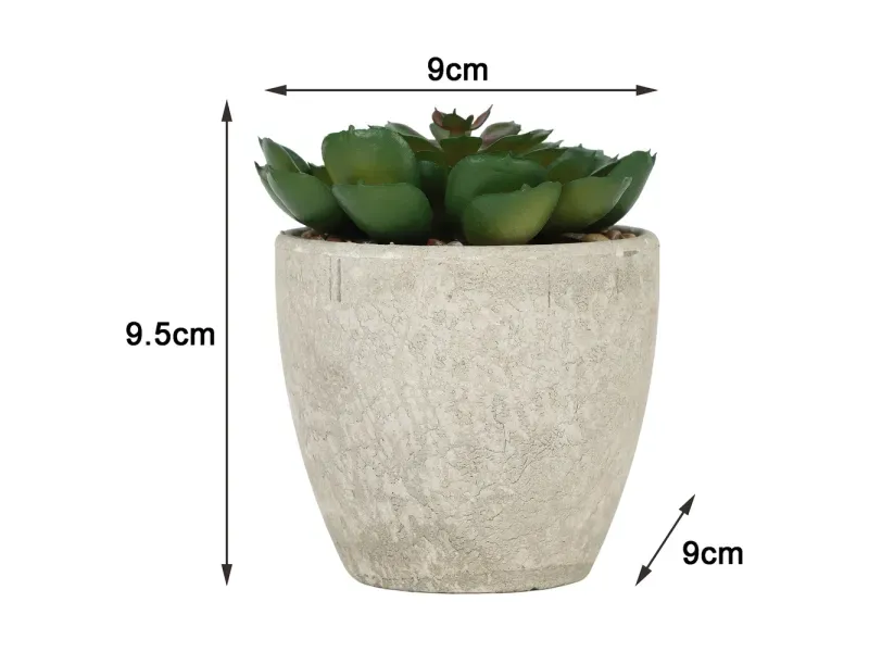 000000000075385846-UN-12