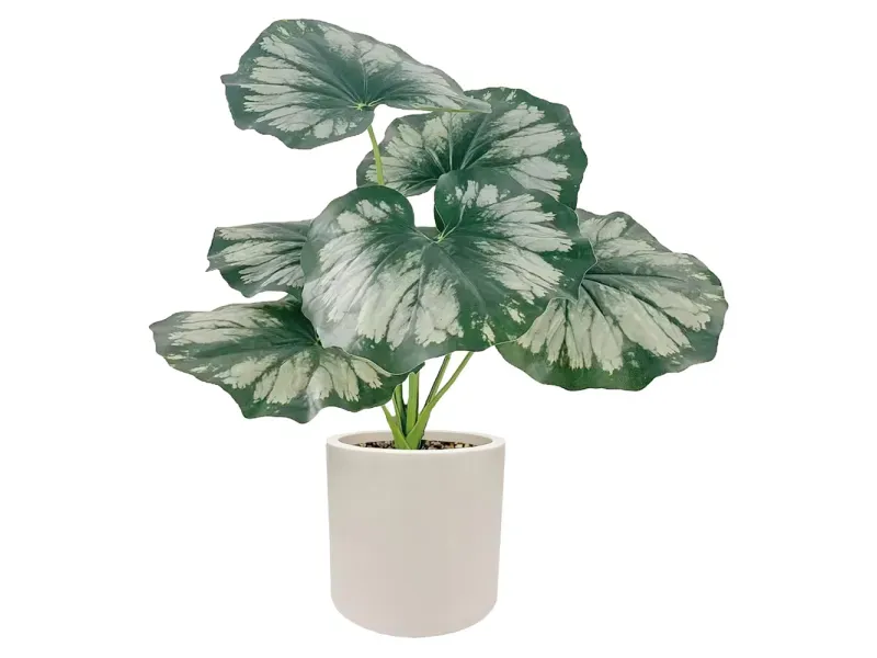 000000000075251711-UN-01