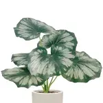 000000000075251711-UN-02