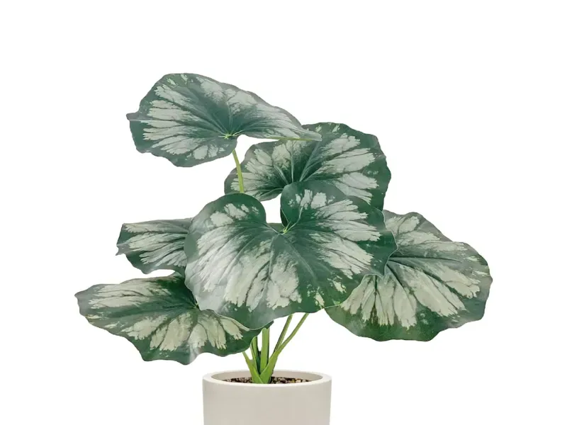 000000000075251711-UN-02