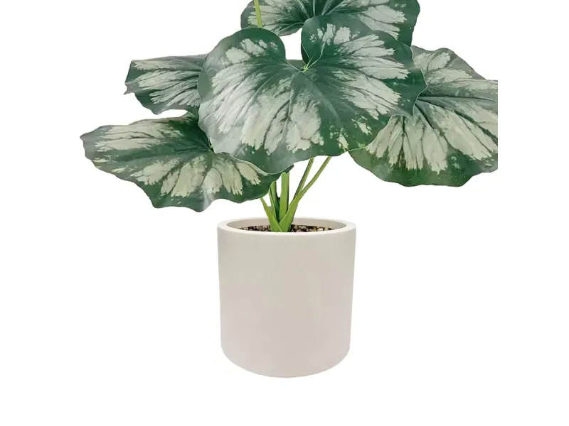 000000000075251711-UN-03