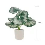 000000000075251711-UN-04