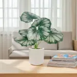 000000000075251711-UN-05