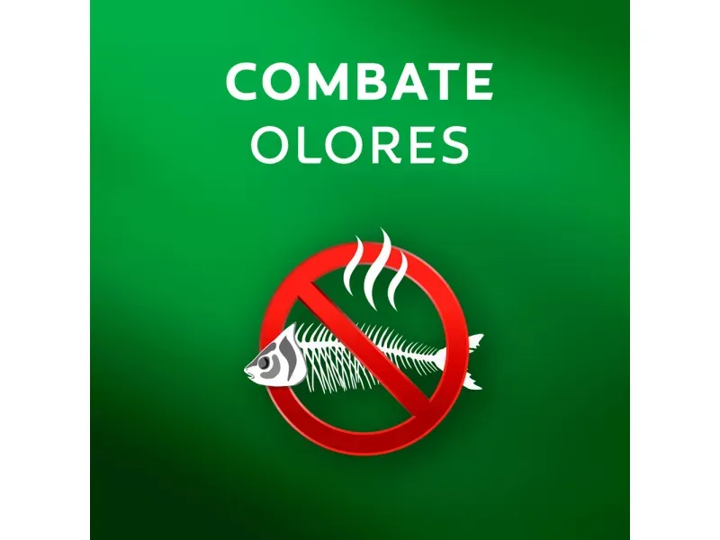 000000000070295930-UN-04