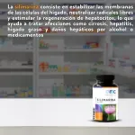 000000000075011085-UN-03