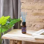 000000000075294933-UN-04