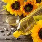 000000000075353578-UN-04