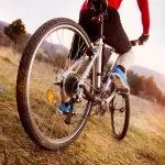 000000000070144449-UN-08