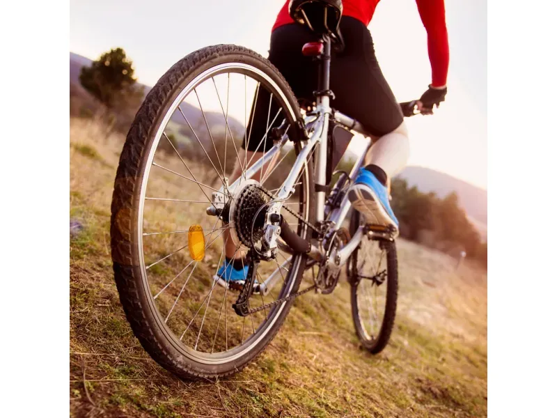 000000000070144449-UN-08