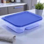 000000000070141329-UN-03