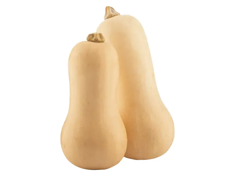 000000000075121153-KG-02