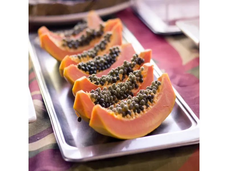 000000000009402100-KG-03