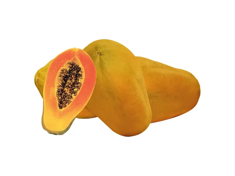 000000000070419536-KG-01