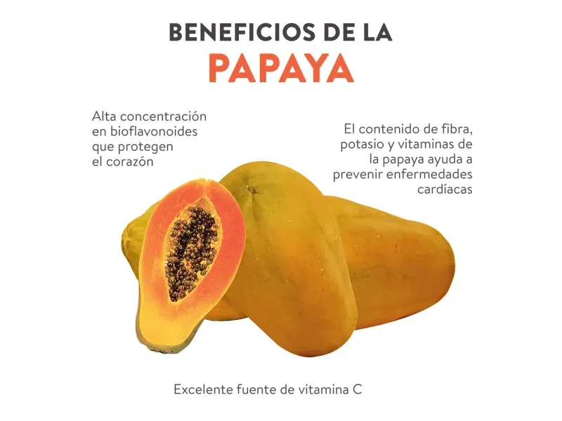 000000000070419536-KG-03