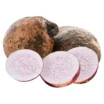 000000000009444800-KG-01