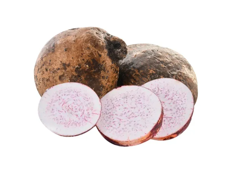 000000000009444800-KG-01